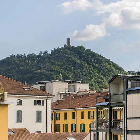 White Sage - Paradise